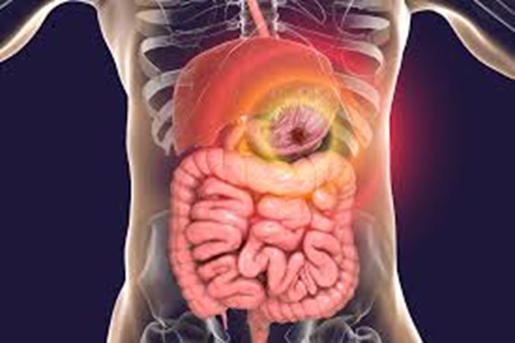 Neurological Sciences