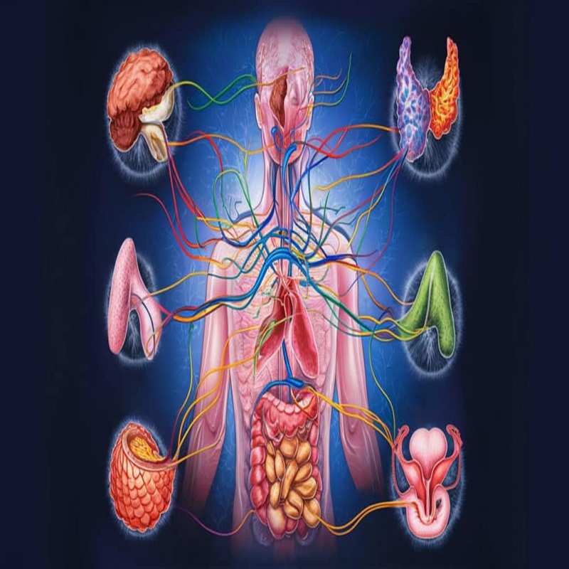 Cardiovascular Medicine