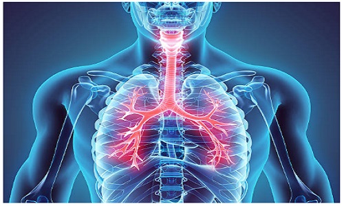 Pulmonarary Department