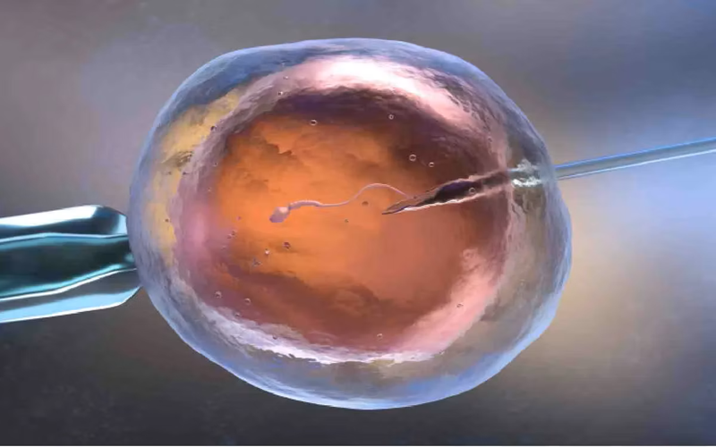 Best IVF Center in Kolkata
